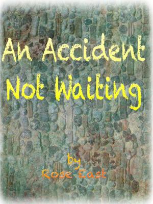 bigCover of the book An Accident Not Waiting by 