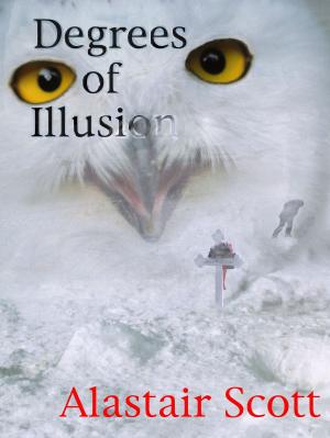 Book cover of Degrees of Illusion