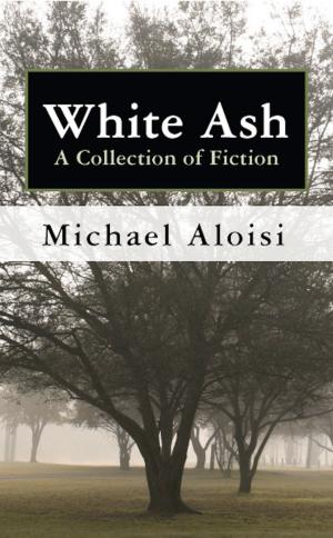 Cover of the book White Ash: A Collection of Fiction by Dan Beatty