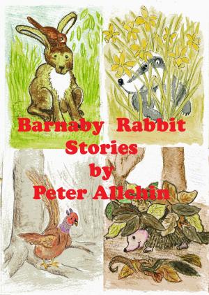 Book cover of Barnaby Rabbit Stories