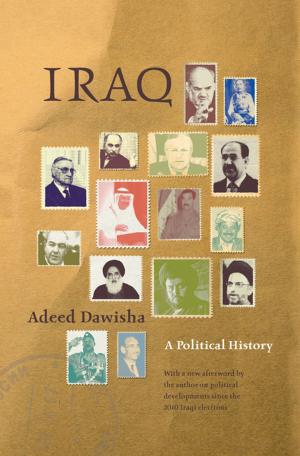 Cover of the book Iraq by Anna Stilz