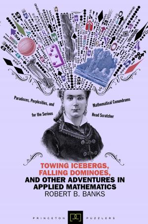 Book cover of Towing Icebergs, Falling Dominoes, and Other Adventures in Applied Mathematics (New in Paperback)