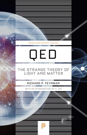 Cover of the book QED by D. W. Zandee