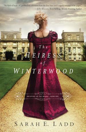 bigCover of the book The Heiress of Winterwood by 