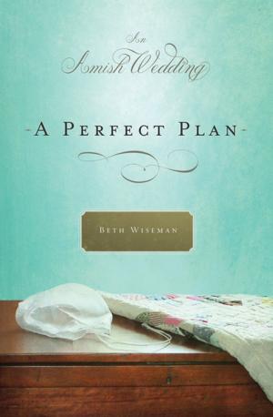 Cover of the book A Perfect Plan by Judah Smith