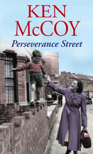 Cover of the book Perseverance Street by Mark Morris, Angela Slatter, Ramsey Campbell
