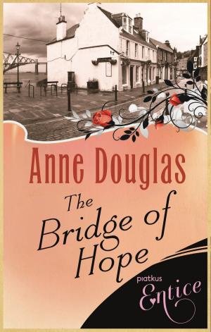 Cover of the book Bridge Of Hope by Waris Dirie