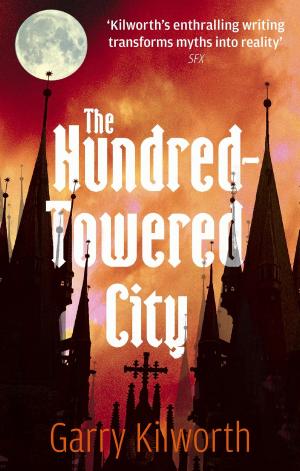 Cover of the book The Hundred-Towered City by David Meltzer