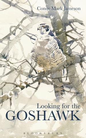 Cover of the book Looking for the Goshawk by Polly Samson