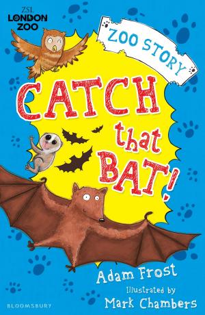 Cover of the book Catch That Bat! by Ismael Rogério Chedid (textos), Adan Lucius Marini (ilustrações), Daiane Basso (revisão)
