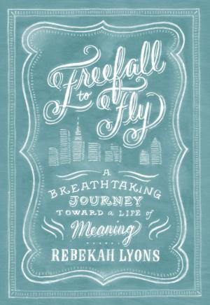 Cover of the book Freefall to Fly by Chris Walley