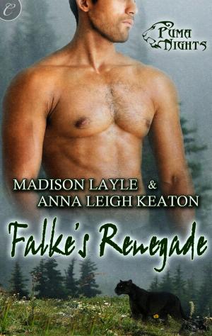 Book cover of Falke's Renegade