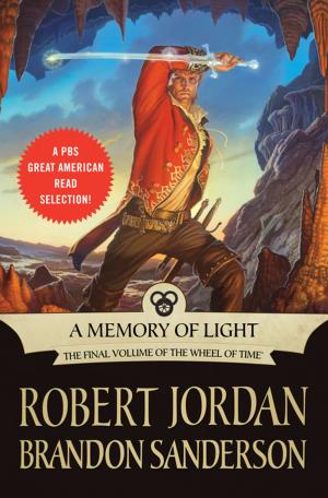 Cover of the book A Memory of Light by Robert Jordan