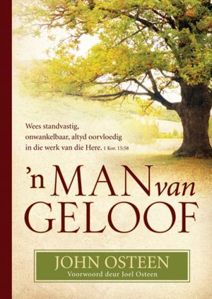 Cover of the book n Man van geloof (eBoek) by Solly Ozrovech