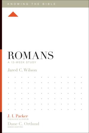 Cover of the book Romans by Sam Storms