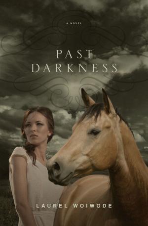 Cover of the book Past Darkness by Andreas J. Kostenberger, David W. Jones