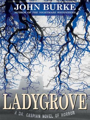 Cover of the book Ladygrove by Eando Binder
