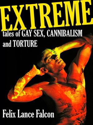 Cover of the book Extreme Tales of Gay Sex, Cannibalism, and Torture by David A. Hardy