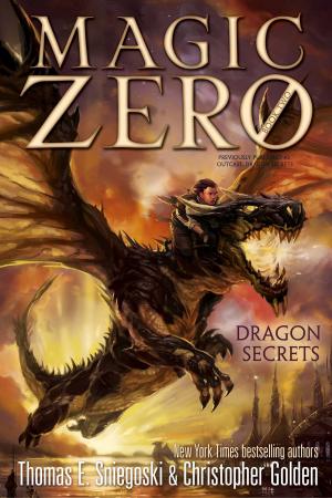 Cover of the book Dragon Secrets by Sarah Darer Littman
