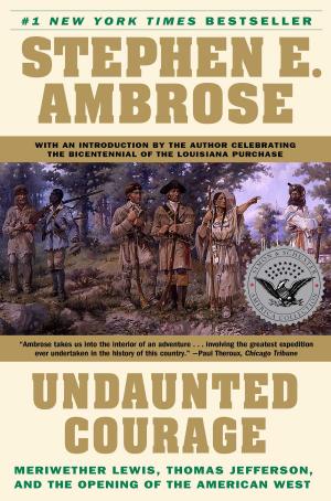 Cover of the book Undaunted Courage by Gary Greenberg