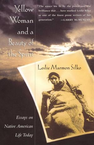 Cover of the book Yellow Woman and a Beauty of the Spirit by Jamie Kilstein, Allison Kilkenny