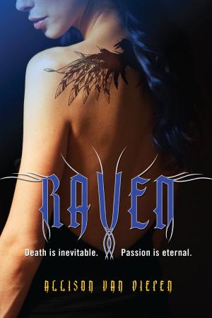 Cover of the book Raven by Shaun David Hutchinson