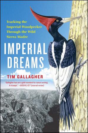 Cover of the book Imperial Dreams by Floyd H. Chilton, Ph.D.
