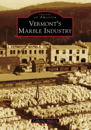 Cover of the book Vermont's Marble Industry by Bruce D. Heald
