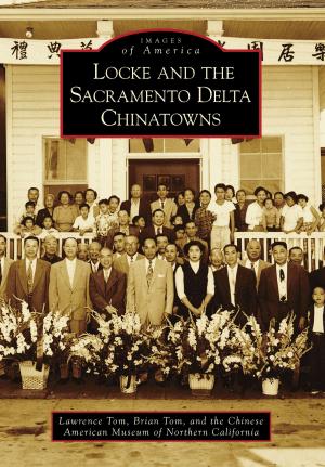Cover of the book Locke and the Sacramento Delta Chinatowns by John Hilferty, Ellie Hilferty