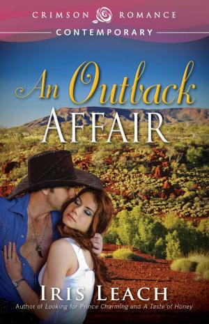 Cover of the book An Outback Affair by Peggy Bird