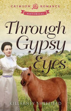 Cover of the book Through Gypsy Eyes by Pam B Morris