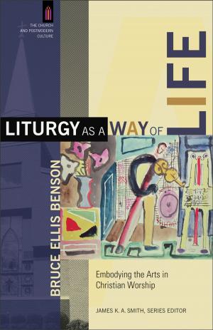 bigCover of the book Liturgy as a Way of Life (The Church and Postmodern Culture) by 