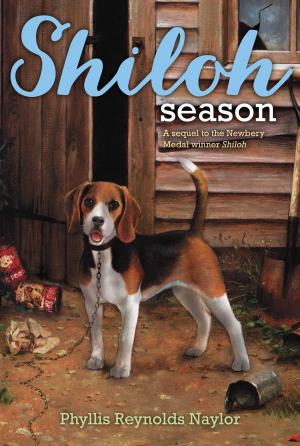 Cover of the book Shiloh Season by Phyllis Reynolds Naylor