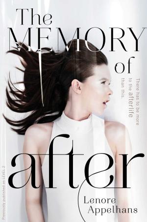 Cover of the book The Memory of After by Debbie Levy