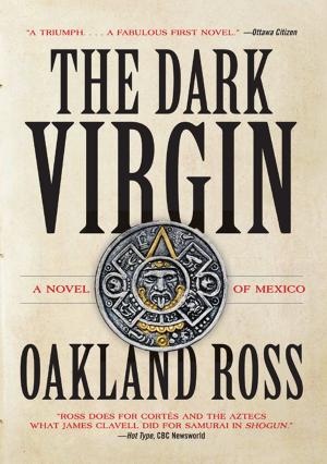 Book cover of The Dark Virgin