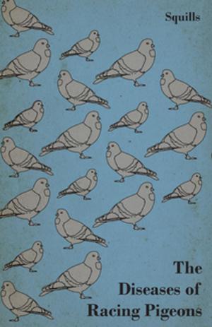 bigCover of the book The Diseases of Racing Pigeons by 