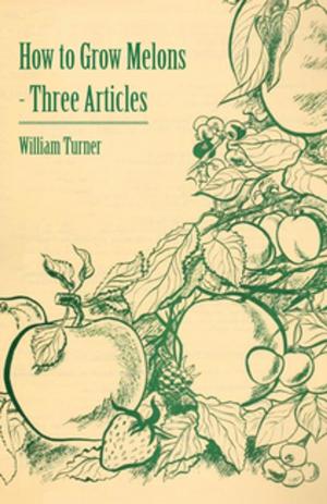 Cover of the book How to Grow Melons - Three Articles by Frederick Paul Lowell