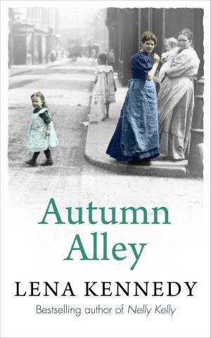 Cover of the book Autumn Alley by Gill Holcombe
