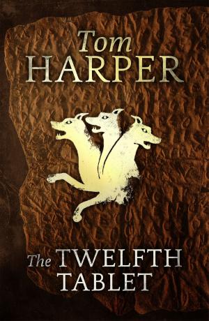Cover of the book The Twelfth Tablet by Kath Hardy