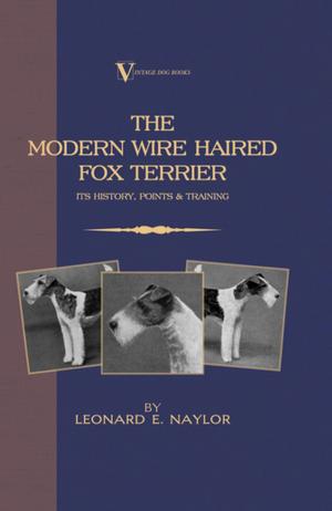 Cover of the book The Modern Wire Haired Fox Terrier - Its History, Points & Training (A Vintage Dog Books Breed Classic) by J. Parish Stelle