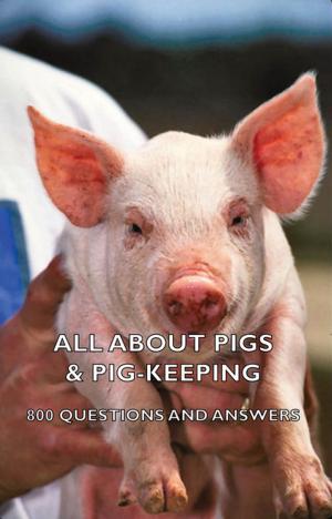 Cover of the book All about Pigs & Pig-Keeping - 800 Questions and Answers by Mary Austin