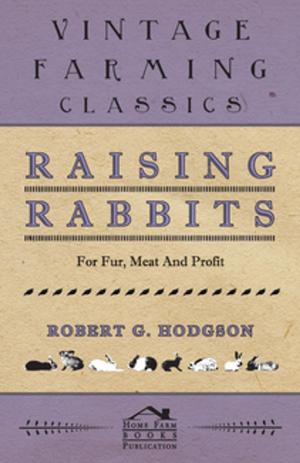 Cover of the book Raising Rabbits for Fur, Meat and Profit by Arthur Sullivan