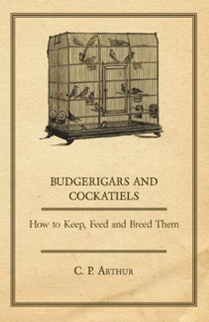 Cover of Budgerigars and Cockatiels - How to Keep, Feed and Breed Them