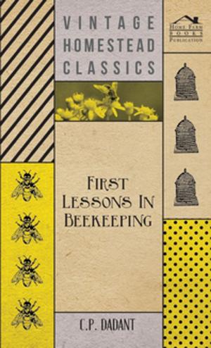 Cover of the book First Lessons in Beekeeping by Chauncey Jerome