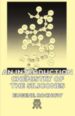 Cover of the book An Introduction Chemistry Of The Silicones by Henry Pottinger
