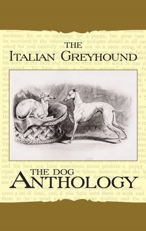 Cover of the book The Italian Greyhound: A Dog Anthology by The Brothers Capek