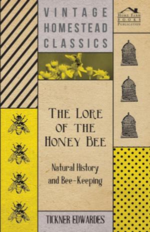 bigCover of the book The Lore of the Honey Bee - Natural History and Bee-Keeping by 