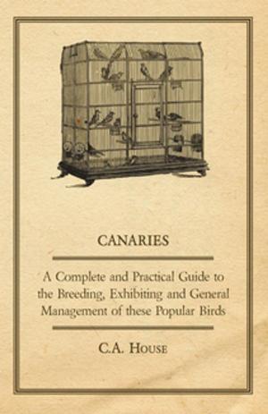 Cover of the book Canaries - A Complete and Practical Guide to the Breeding, Exhibiting and General Management of These Popular Birds by Brothers Grimm