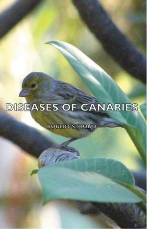 Cover of the book Diseases of Canaries by Albert A. Hopkins