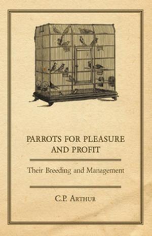 bigCover of the book Parrots for Pleasure and Profit - Their Breeding and Management by 